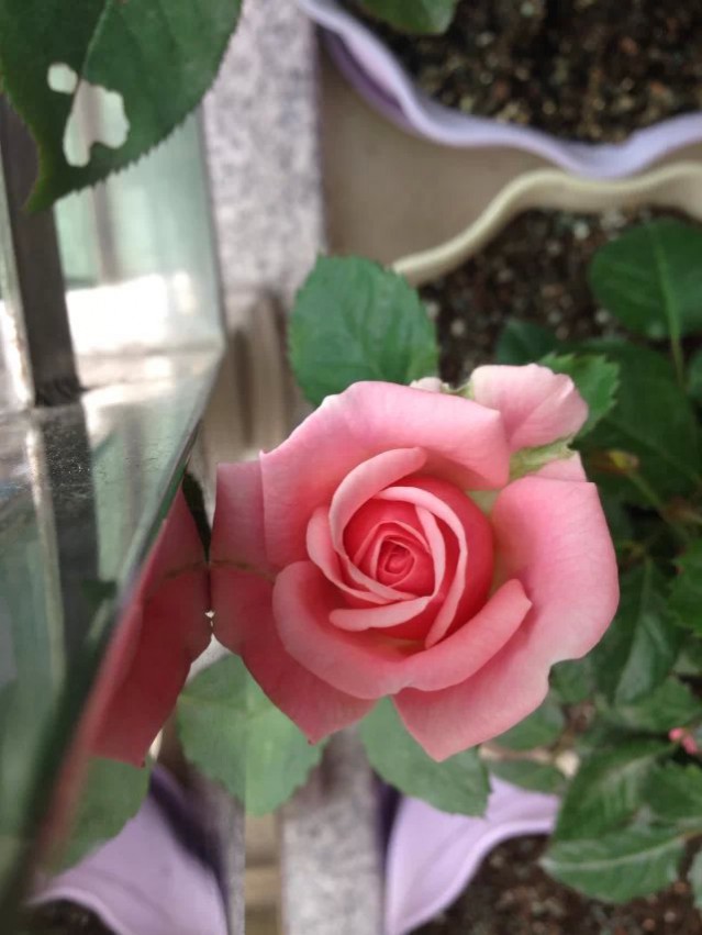 С����
