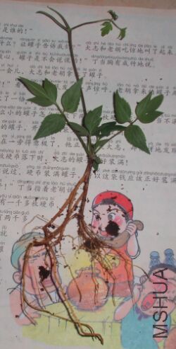 QQͼƬ20150323213240.jpg