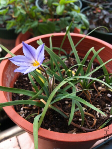 QQͼƬ20150329141803.jpg