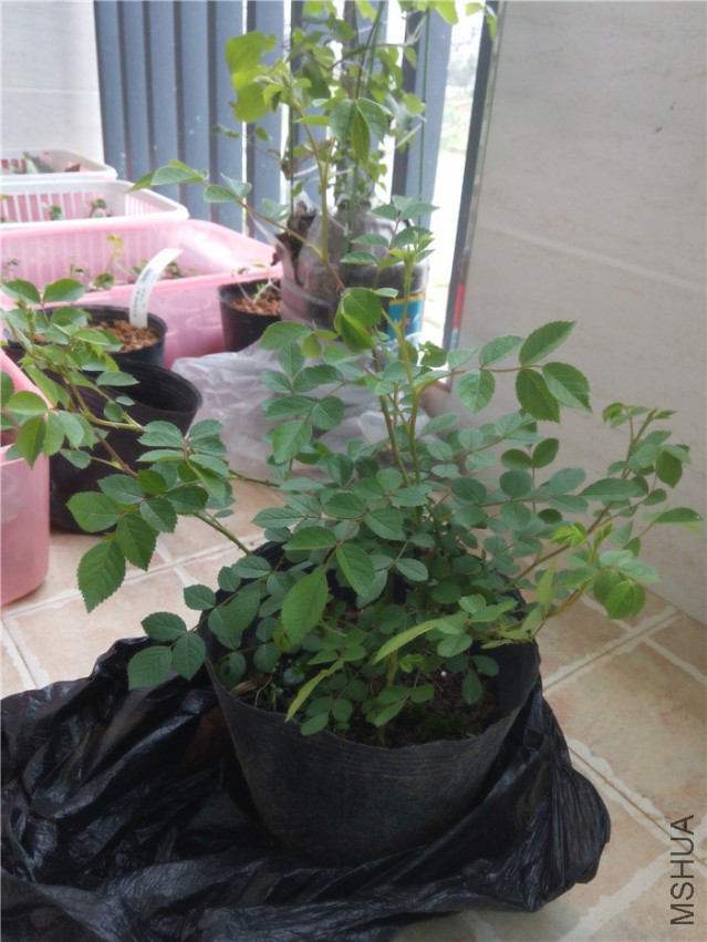 20150329155718_����1.jpg