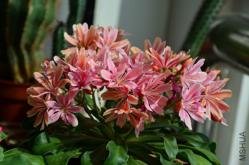 DSC_1628.jpg