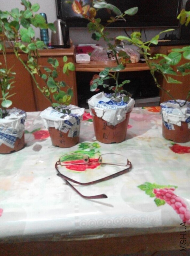QQͼƬ20150329200648.jpg