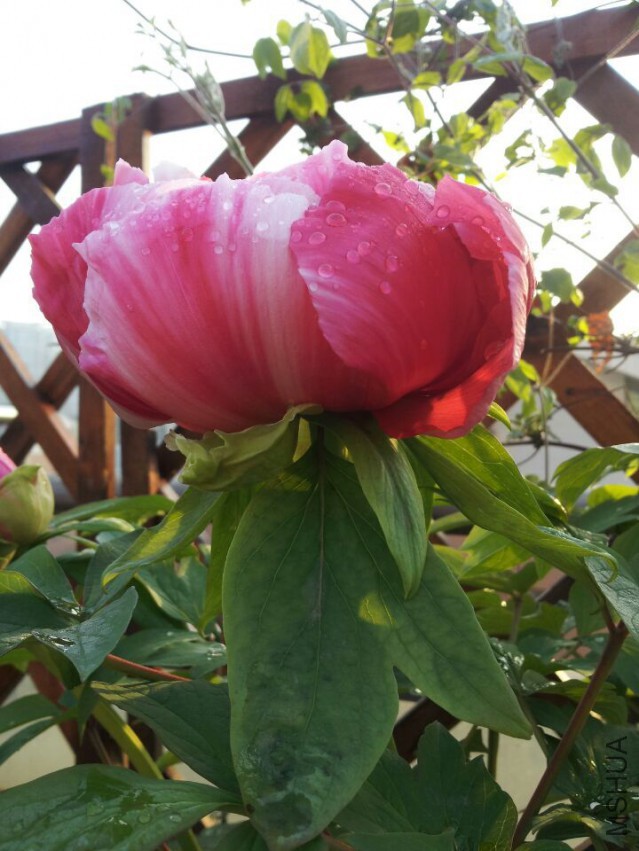 QQͼƬ20150329202928.jpg