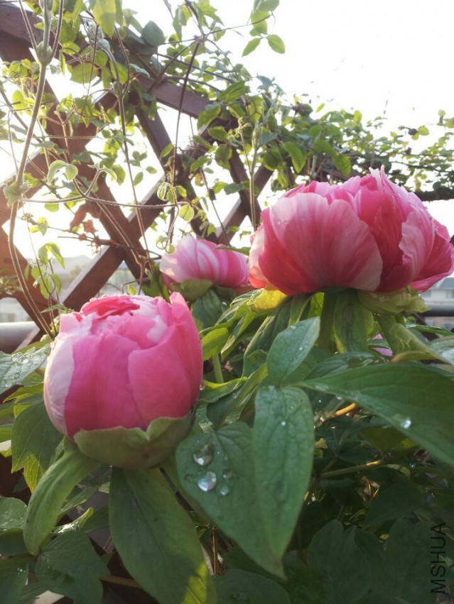 QQͼƬ20150329204400.jpg