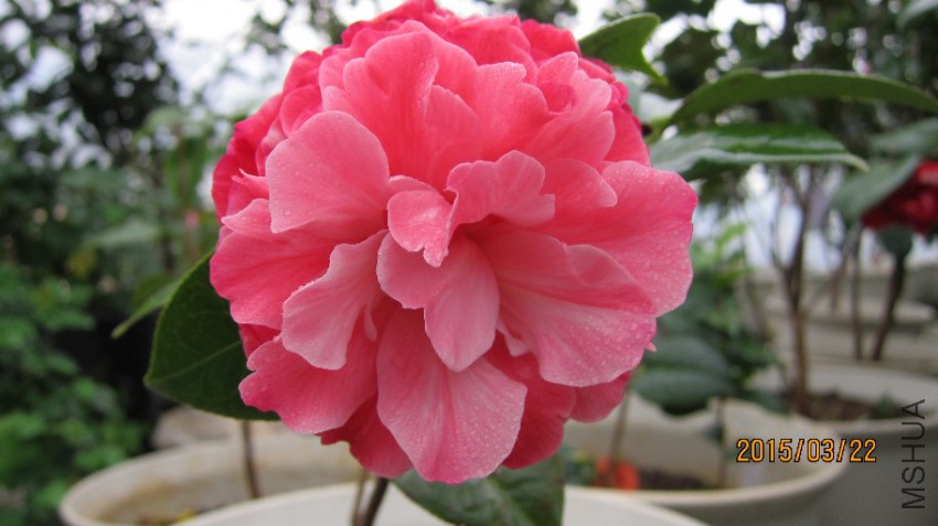 �� ɫ �� �� ��