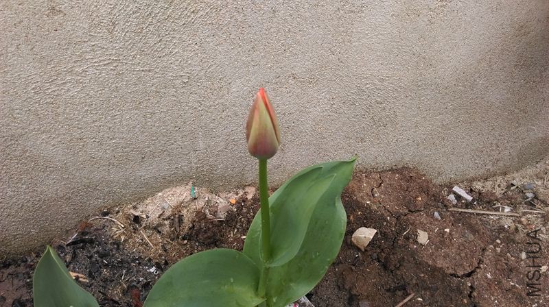 IMAG0119.jpg
