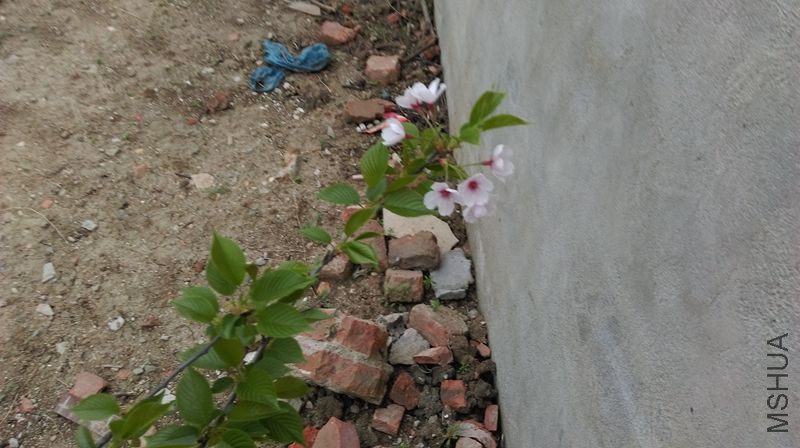 IMAG0151.jpg