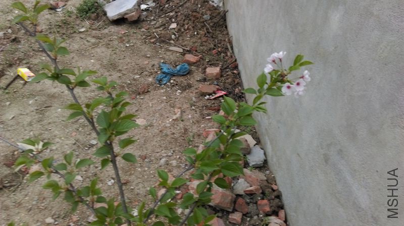 IMAG0153.jpg