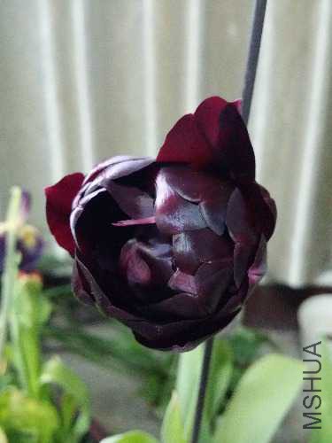 20150330_091804.jpg