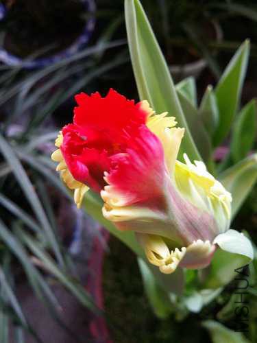 20150329_140625.jpg