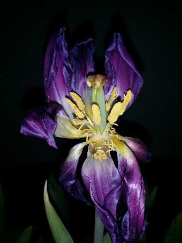20150325_115954.jpg