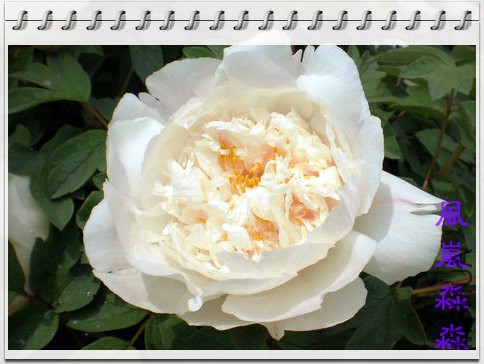 ĵ��34.jpg