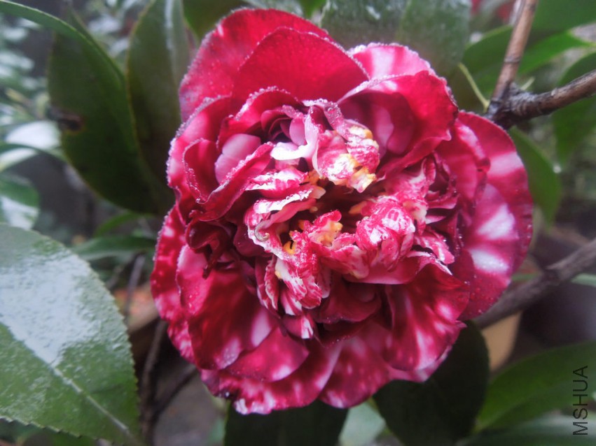 DSCN4159.JPG