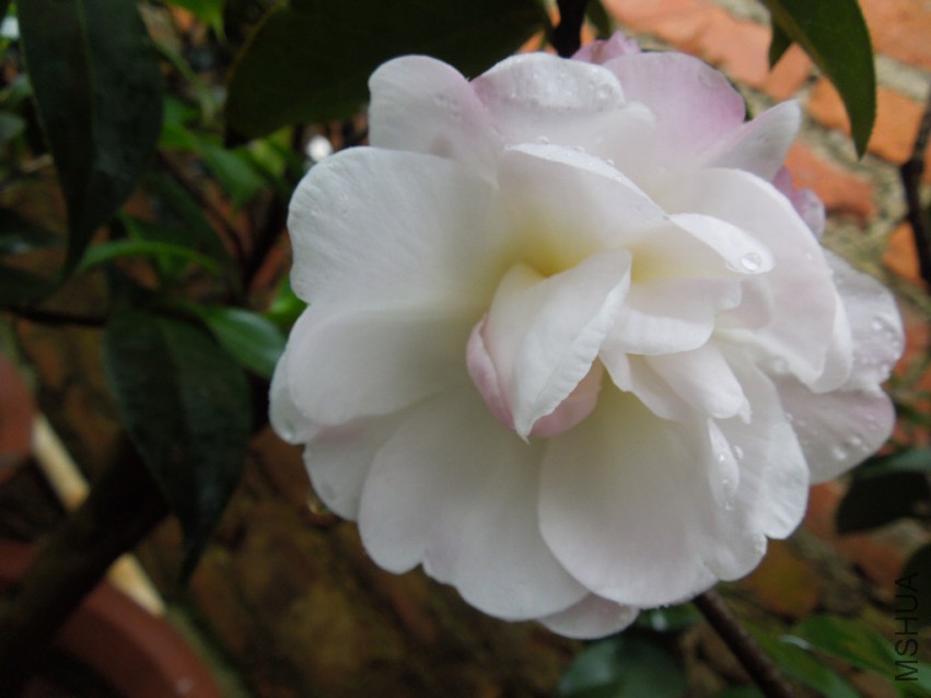DSCN4718.JPG