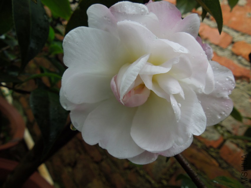 DSCN4720.JPG