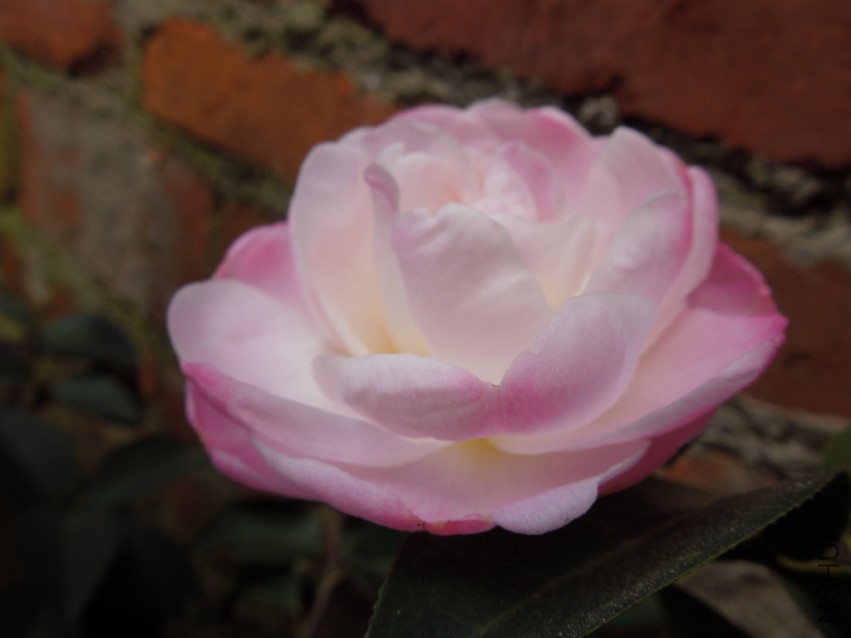 DSCN4832.JPG