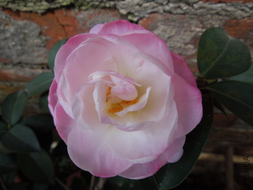 DSCN4834.JPG