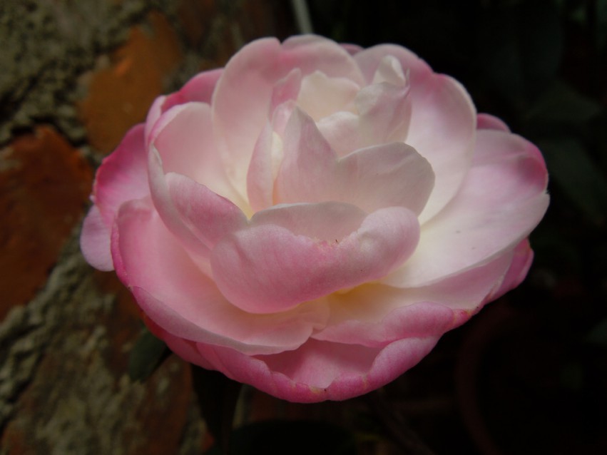 DSCN4835.JPG