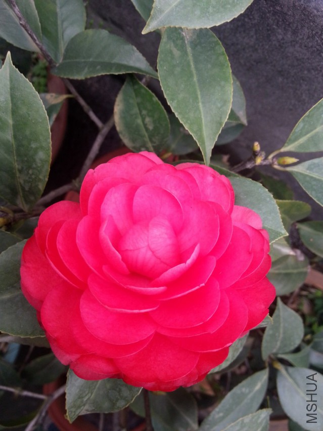 20140313_161941.jpg