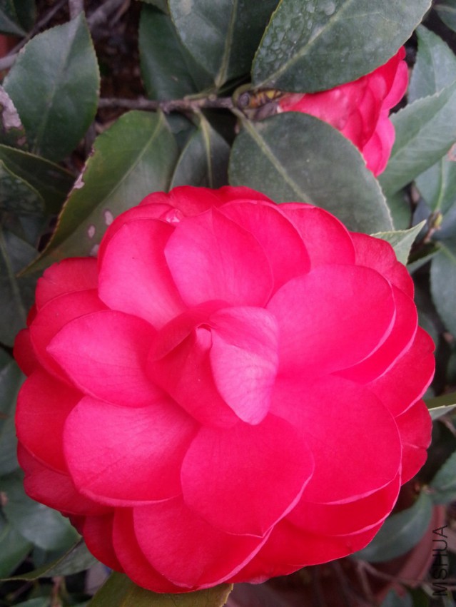 20140313_162002.jpg