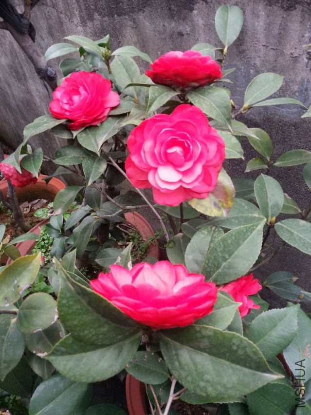 20140313_162012.jpg
