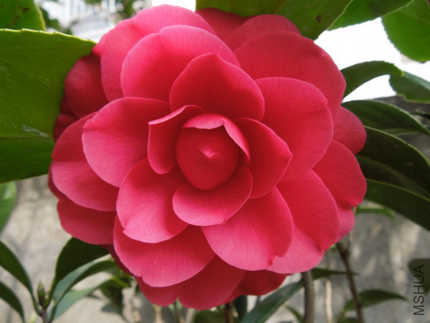 DSCN3083.JPG