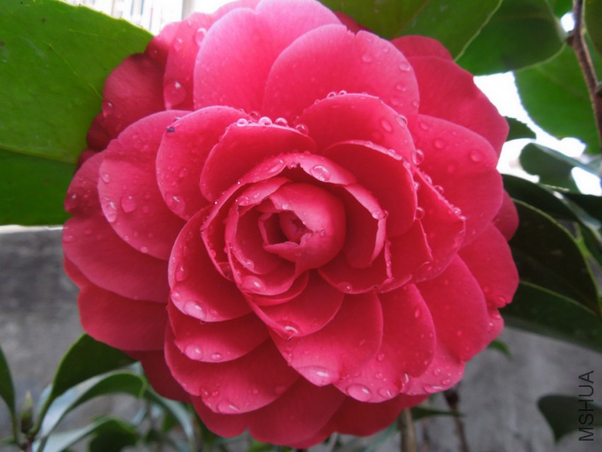 DSCN3122.JPG