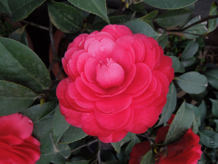 DSCN4141.JPG