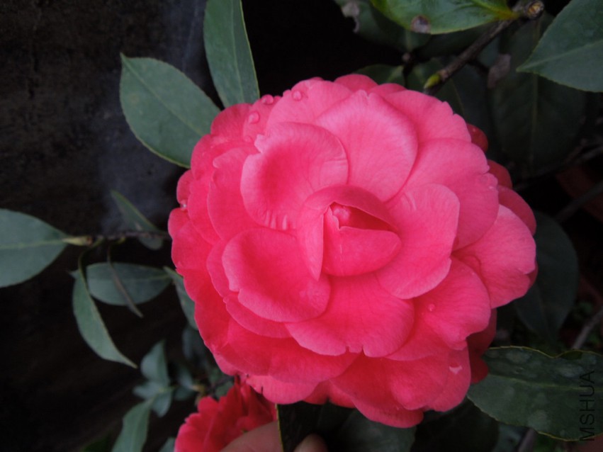 DSCN4147.JPG