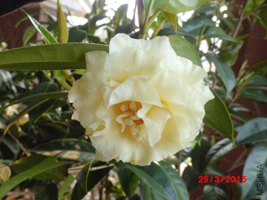 CIMG5818.JPG