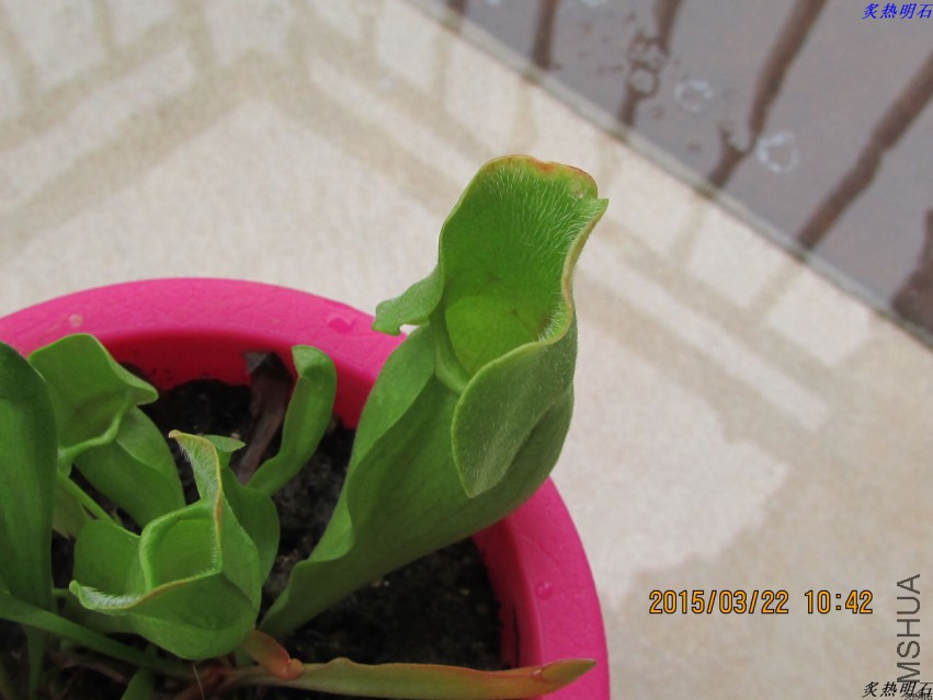 IMG_1044_nEO_IMG.jpg