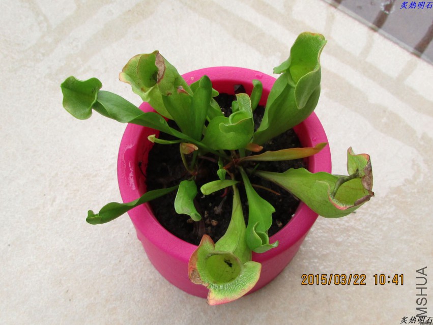 IMG_1043_nEO_IMG.jpg