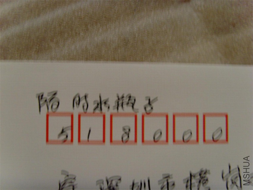 SNV37930.JPG