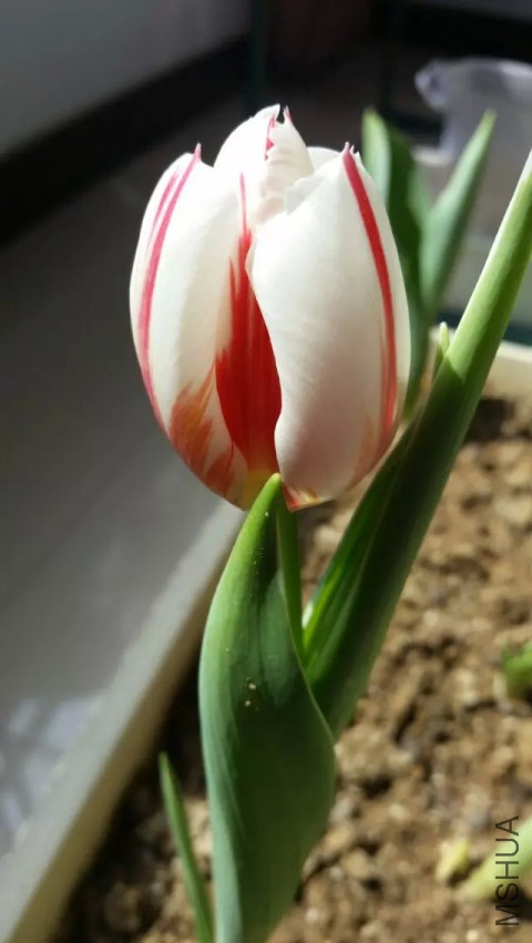 3.31