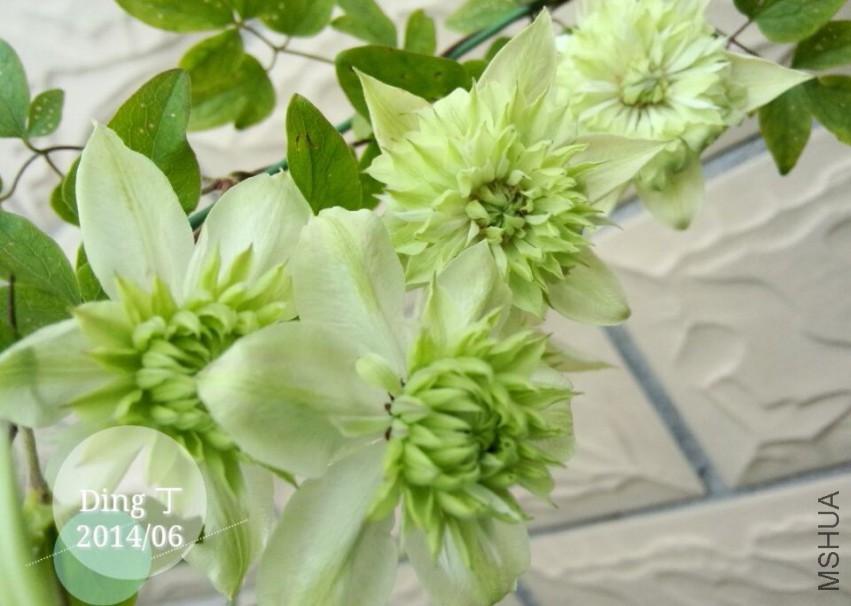 QQͼƬ20150331152924.jpg