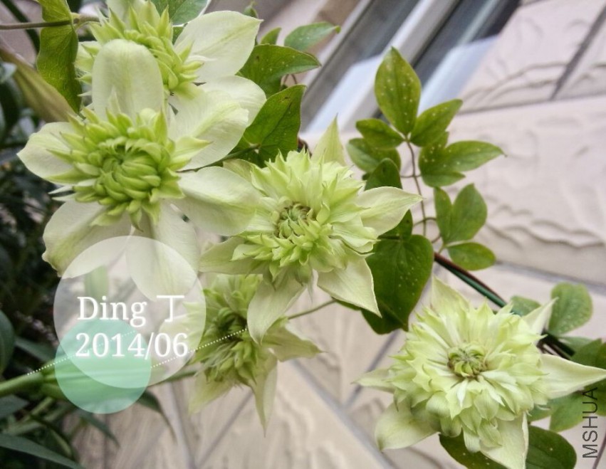 QQͼƬ20150331152934.jpg