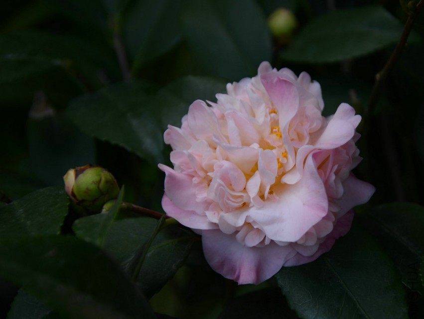 ����ˮ20150331-1.jpg