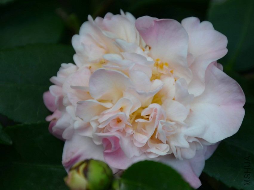 ����ˮ20150331-4.jpg