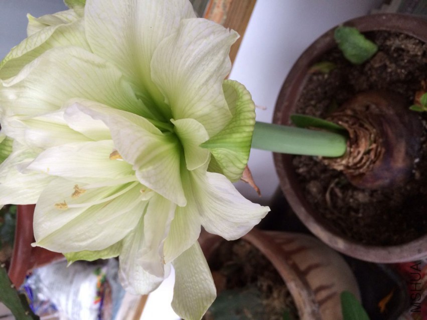QQͼƬ20150331221847.jpg