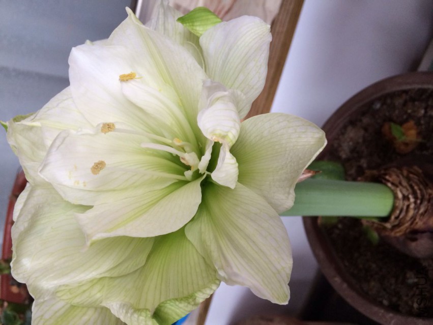 QQͼƬ20150331221901.jpg