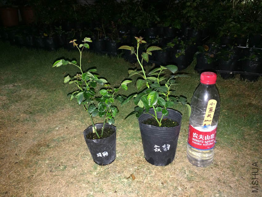 2�ձ����� �ž�