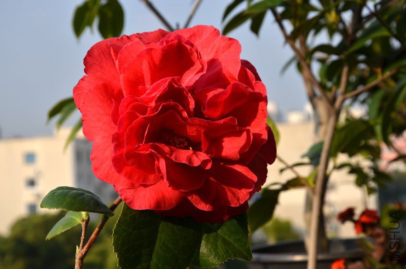DSC_3422.JPG
