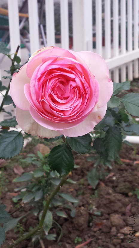 ���������ڹ㶫������ô��ʵ��̫�ѵ���