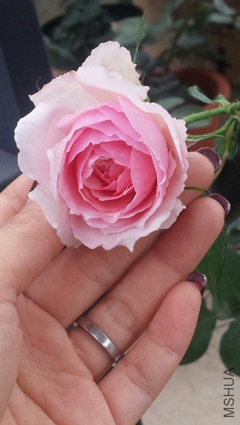 �����յ�С��