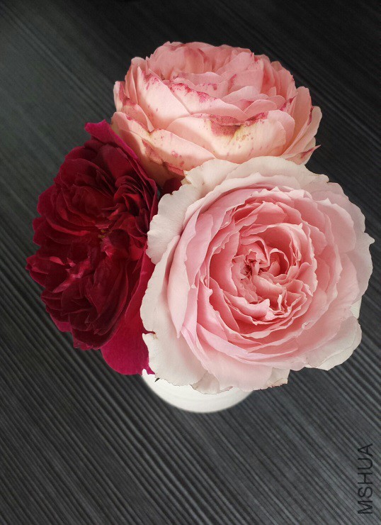 2015-03-16 12.58.57.jpg