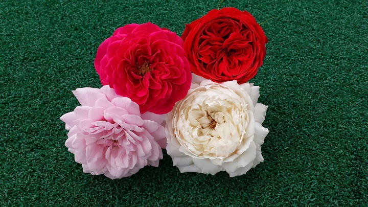 2015-03-22 09.33.17_resized.jpg