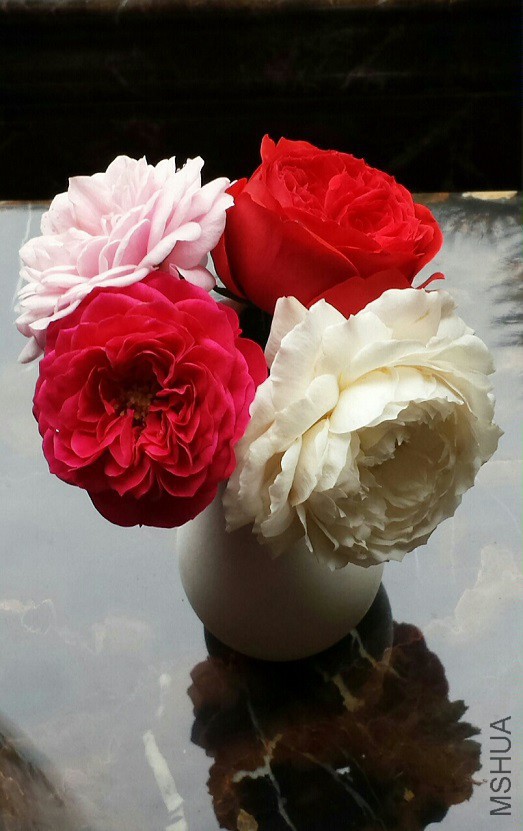 ��ɫ�������D�������ܱ�׼