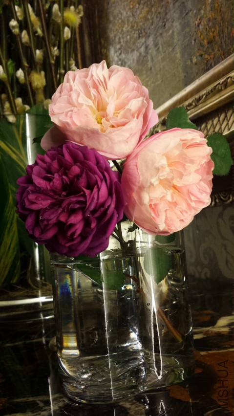 �ι⻷������