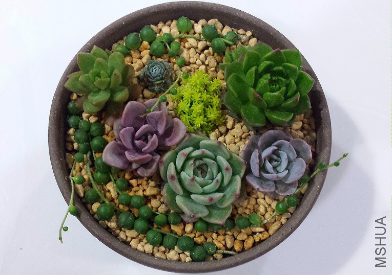 ��һ������