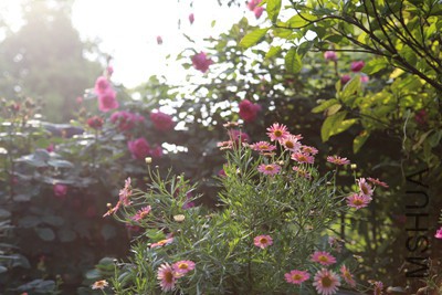 154_32108_26f8a1c296bf957.jpg
